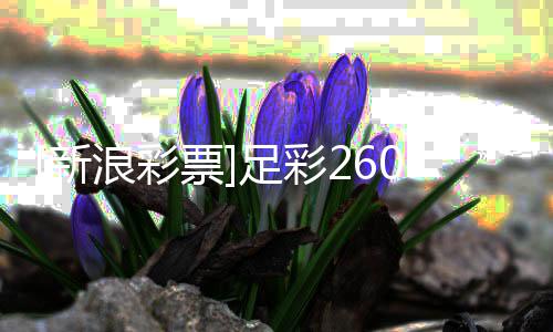 布票足彩指数新防平盈亏谨慎浪彩拉加9期